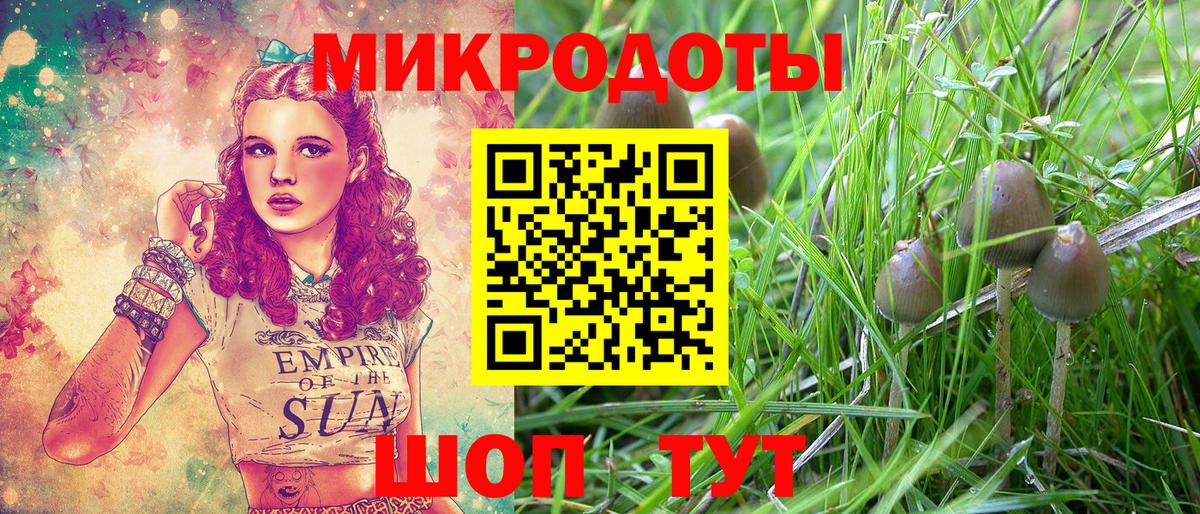 Галлюциногенные грибы GOLDEN TEACHER Богородск