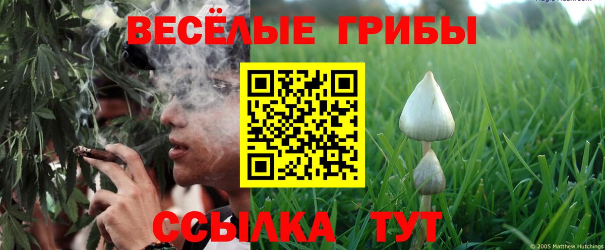 Богородск  Псилоцибиновые грибы GOLDEN TEACHER  Галлюциногенные грибы MAGIC MUSHROOMS  Вход с VPN 
